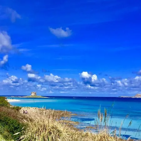 Splendido Ultimo Piano Vista Mare Lido Casa vacanze
